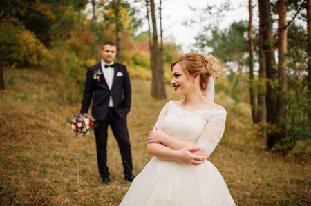 Wedding couple in love at autumn pine wood.の写真素材