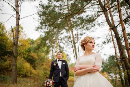 Wedding couple in love at autumn pine wood.の写真素材