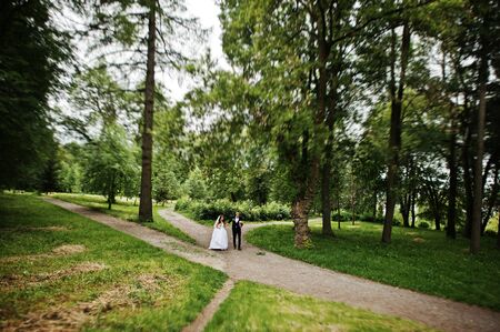 Young stylish wedding couple in love at park.の写真素材