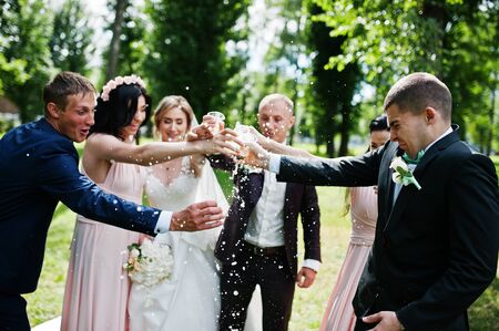 Wedding couple cheering champagne glasses with bridesmaids and best man at park.の写真素材