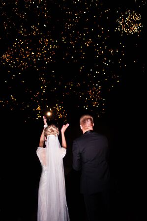 Back of wedding couple looking on night sky with fireworks.の写真素材