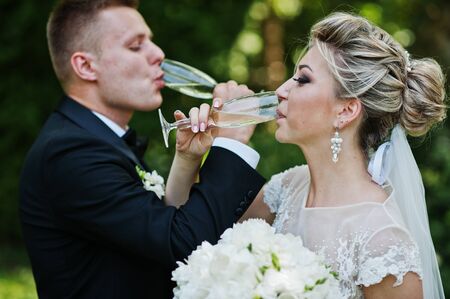 Stylish and gorgeous wedding couple with glasses of champagne.の写真素材
