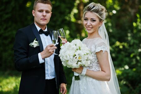 Stylish and gorgeous wedding couple with glasses of champagne.の写真素材