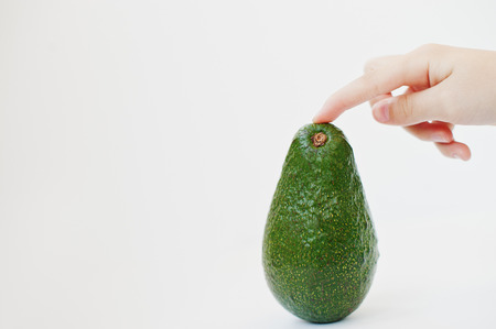 Exotic fruit avocado or alligator pear isolated on white background with human hand. Healthy eating...