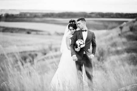Fantastic wedding couple walking in the tall grass with the pine trees and rocks in the background holding hands. Black and white photo.の写真素材