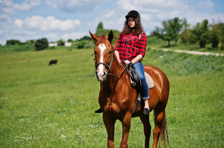 Young pretty girl riding a horse on a field at sunny day.の写真素材