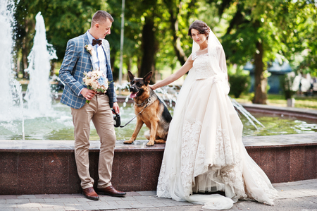 Fabulous young wedding couple posing next to a fountain with a dog in the park.の写真素材
