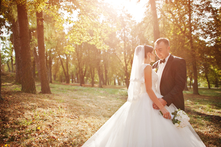 Amazing young gorgeous newly married couple taking a walk in the park on their wedding day.の写真素材