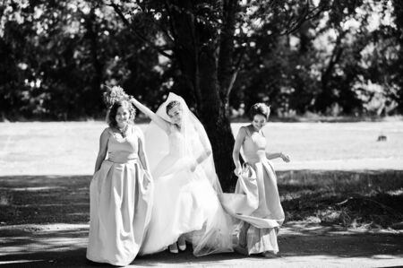 Happy bride having fun with her cool fun bridesmaids in the park on a wedding day. Black and white photo.の写真素材