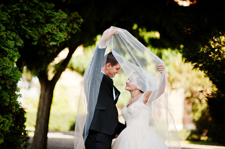 Fantastic wedding couple walking in the park on their wedding day.の写真素材