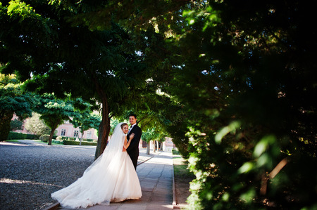 Fantastic wedding couple walking in the park on their wedding day.の写真素材