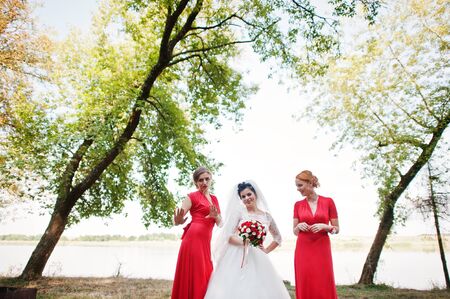 Gentle bride and beautiful bridesmaids are having great fun in the park on a sunny wedding day.の写真素材