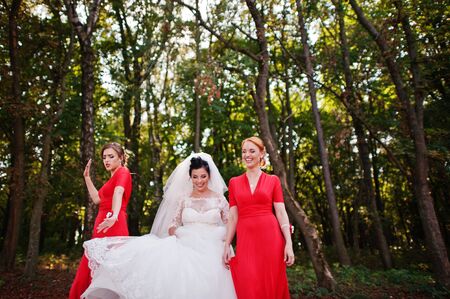 Gentle bride and beautiful bridesmaids are having great fun in the park on a sunny wedding day.