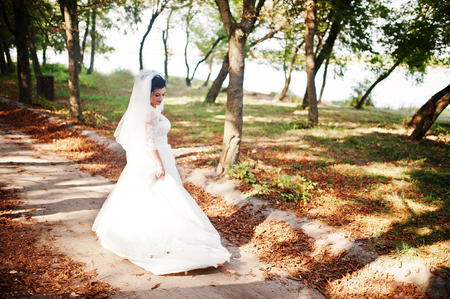 Portrait of a lonely bride walking in the park on the wedding day.の写真素材