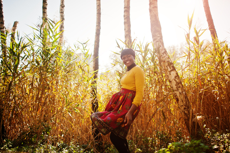 African american girl at yellow and red dress at golden autumn fall park.の写真素材