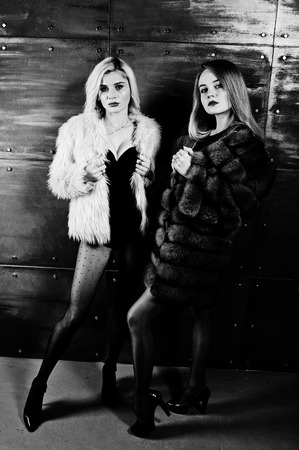 Two elegante blonde girls wear on fur coat and combi dress posed against steel wall on studio.の写真素材