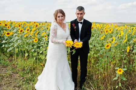 Portrait of an amazing wedding couple posing in the sunflower field.の写真素材