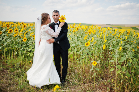 Portrait of an amazing wedding couple posing in the sunflower field.の写真素材