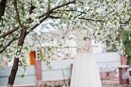 Wedding white dress hanging on the blossoming tree outdoors.の写真素材