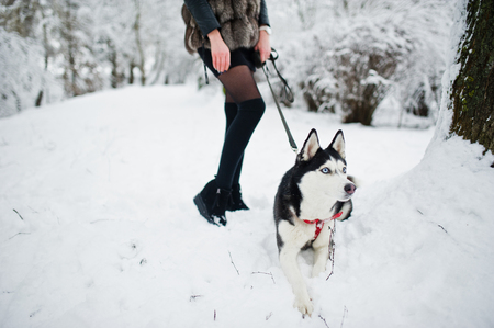 Husky dog on a leash at hand of girl on winter day.の写真素材