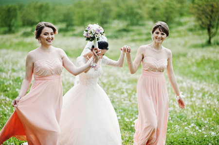 Beautiful bride posing with bridesmaids on the field full of flowers on the wedding day.の写真素材