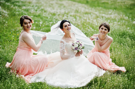 Beautiful bride sitting and posing with bridesmaids on the field full of flowers on the wedding day.の写真素材