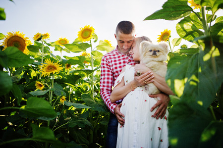 Pregnant couple with dog in sunflowers field. Happy moments of pregnancy.の写真素材