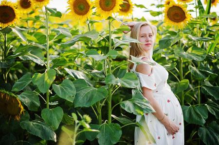 Blonde pregnant mother in sunflowers field. Happy moments of pregnancy.の写真素材