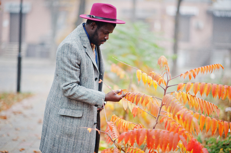 Stylish African American man model in gray coat, jacket tie and red hat against yellow leaves autumn mood.の写真素材