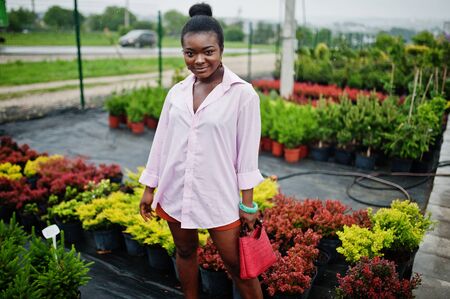 African woman in pink large shirt posed at garden with seedlings.の写真素材