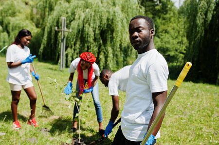 Group of happy african volunteers planting tree in park. Africa volunteering, charity, people and ecology concept.の写真素材