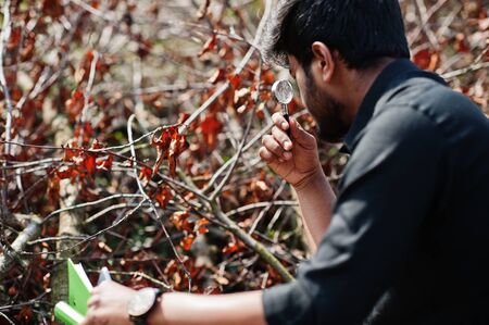 South asian agronomist farmer with clipboard inspecting cut trees in the farm garden. Agriculture...