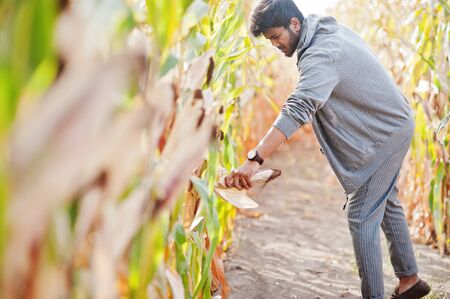 South asian agronomist farmer inspecting corn field farm. Agriculture production concept.の写真素材