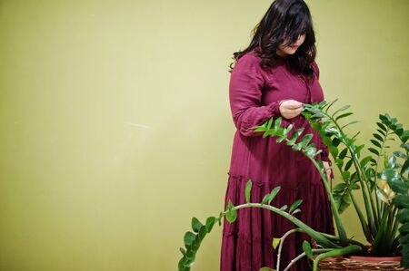 Attractive south asian woman in deep red gown dress posed at studio against green background with greenery.の写真素材