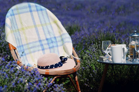 Set decorations in purple lavender field.の写真素材