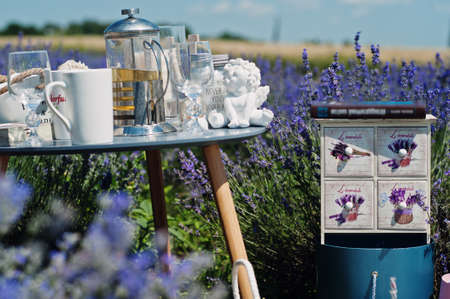 Set decorations in purple lavender field.