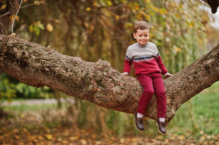 Young boy sitting on tree at autumn park.の写真素材