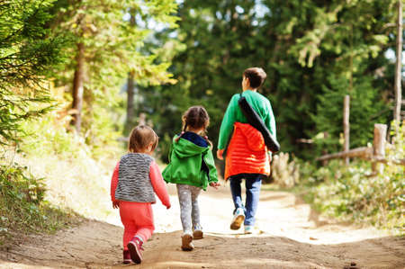 Back of three kids walking on wood mountains. Family travel and hiking with childrens.の写真素材
