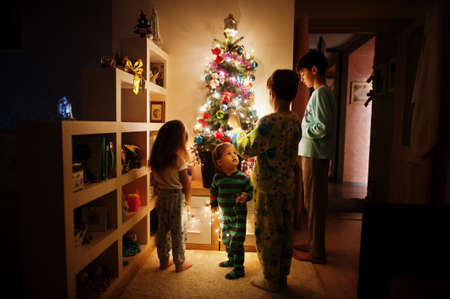 Kids looking on Christmas tree with shining garlands on evening home.の写真素材