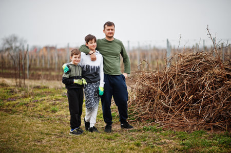 Father with two sons working on the vineyard.の写真素材