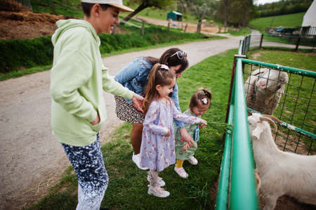 Mother with kids on an animal eco farm feed goats.