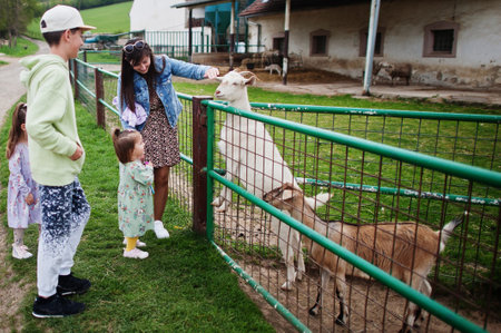 Mother with kids on an animal eco farm feed goats.の写真素材