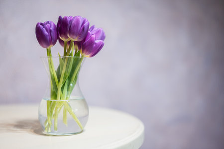 Bouquet of purple tulips with green leaves in glass vase.の写真素材