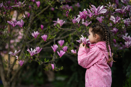 Preschooler girl in pink jacket enjoying nice spring day near magnolia blooming tree. Springtime activities.の写真素材