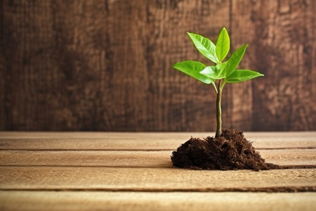 Green plant over wood background. Generative AI.の素材