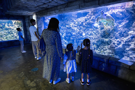 Family looking at fishes and turtle in oceanarium. Mother with children enjoying in ocean exhibit tank.の写真素材
