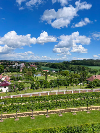 Stunning vineyard scene with lush greenery under a vibrant blue sky filled with fluffy white clouds in Kunstat, Czech Republic. Captures the beauty and tranquility of rural life and nature's serenity.の写真素材