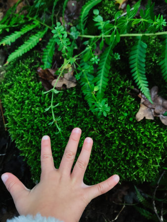 A child's hand touching vibrant green moss and ferns in a natural setting, evoking curiosity and exploration. Captures the beauty and innocence of connecting with nature outdoors.の写真素材