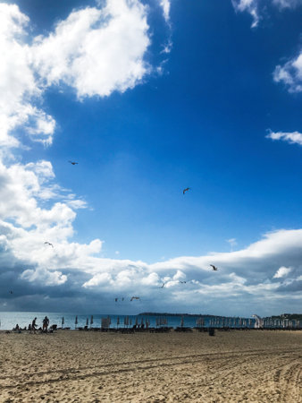 A serene beach scene with a clear blue sky, gentle ocean waves, and seagulls soaring. Perfect for conveying tranquility and relaxation by the seaside.の写真素材