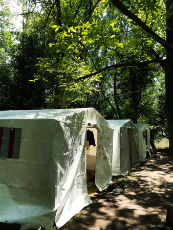A row of white tents set amidst vibrant green trees, capturing the essence of outdoor camping. The...